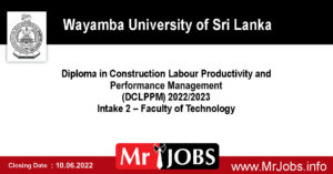 Diploma in Construction Labour Productivity and Performance Management (DCLPPM) 2022 2023