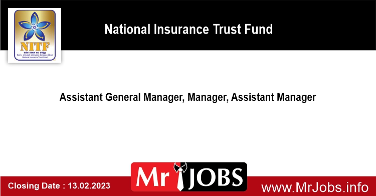 Assistant General Manager Manager Assistant Manager National Insurance Trust Fund 2023