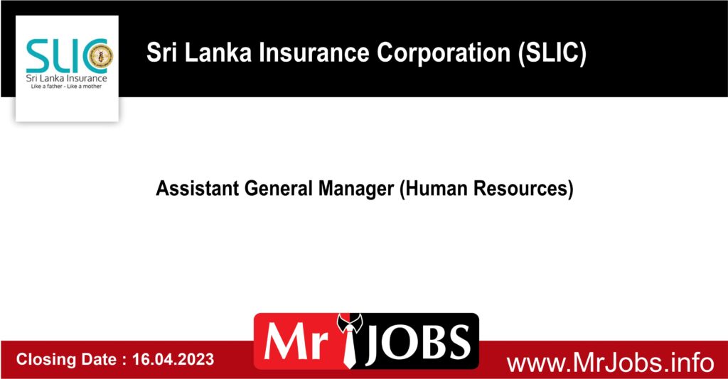 Assistant General Manager (Human Resources) - SLIC Vacancies 2023