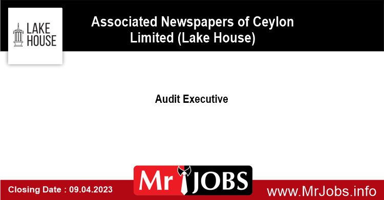 Audit Executive Lake House Vacancies 2023 2