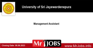 Management Assistant - PIM Vacancies 2023 2